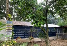 Bisnis Budidaya Maggot Mulai Panen Di Kelurahan Sukamiskin Bandung