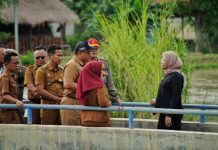 Bupati Nina Agustina Ingatkan Semua Pihak Waspada Debit Air Cimanuk