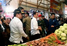 Pj Gubernur Hassanudin Apresiasi Perhatian Presiden Jokowi Pada Masyarakat Sumut