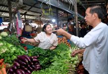 Momen Presiden Jokowi Belanja Buah Dan Sayur Di Pasar Buah Berastagi