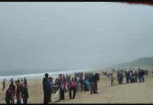 Guru Dan Siswa Pungut Sampah Di Pantai Pangumbahan Demi Jaga Habitat Penyu