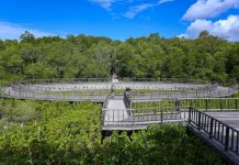 Tahura Ngurah Rai Siap Dikunjungi Delegasi World Water Forum k Ke-10