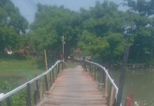 Pemuda Desa Penganjang Bangun Jembatan Kayu Cimanuk Semangat Filosofi Ikatann Sapu Lidi