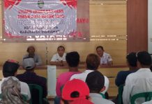 Lelang Sewa Tanah Kas Desa Tahun 2024-2025 Untuk Peningkatkan Pendapatan Desa Jaya Mulya