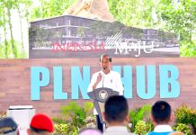 Presiden Jokowi Energi Di IKN Harus 100 Persen Hijau Dengan Groundbreaking PLN