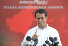 Presiden Jokowi Pimpin Rapat Terkait Budidaya Kratom Di Indonesia