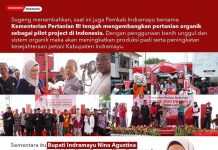 Bupati Indramayu Nina Agustina Serahkan Benih Padi Kepada 500 Petani Di Kecamatan Losarang