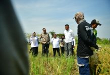 Jaga Stabilitas Pangan Indramayu Harus Miliki Sistem Logistik Daerah Terpadu