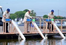 Presiden Prabowo Subianto Tinjau Kawasan BLUPPB Karawang Dorong Swasembada Pangan Dan Ekonomi Biru