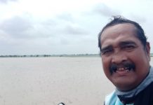 Ketua Fortan Pantau Ratusan Hektar Tanaman Padi Terendam Air Di Kecamatan Sindang