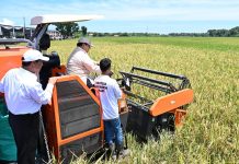 Presiden Prabowo Tegaskan Komitmen Wujudkan Kedaulatan Pangan