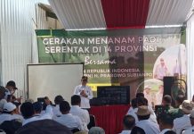 Wakil Bupati Indramayu Syaepudin Dukung Ketahanan Pangan Serentak Tanam Padi