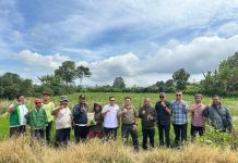 Wakil Bupati Karo Komando Tarigan SP Terima Kunjungan Kerja Direktur Serealia Ditjen Tanaman Pangan Kementerian Pertanian RI