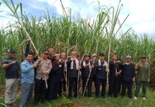 PG Jatijtujuh Bersenergi Dengan Petani Desa Mulyasari