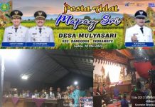 Rasa Syukur Jelang Pesta Panen Padi Petani Desa Mulyasari Adakan Kegiatan Mapag Sri