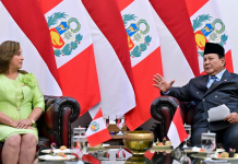 Presiden Peru Dina Ercilia Boluarte Zegarra Kerjasama Investasi Di Indonesia