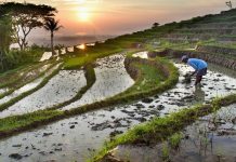 KPK Bangun Benteng Antikorupsi Di Provinsi Banten Dan Aceh Sampai Tingkat Desa