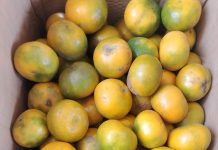 Pembeli Waspada : Pedagang Jeruk Di Pasar Jatibarang Ketahuan Bermain Curang