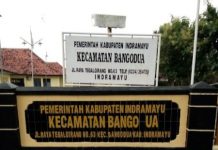 Penyaluran Bantuan Pangan Beras Dan Minyak Goreng Untuk Delapan Desa Kecamatan Bangodua Periode Oktober–November 2025