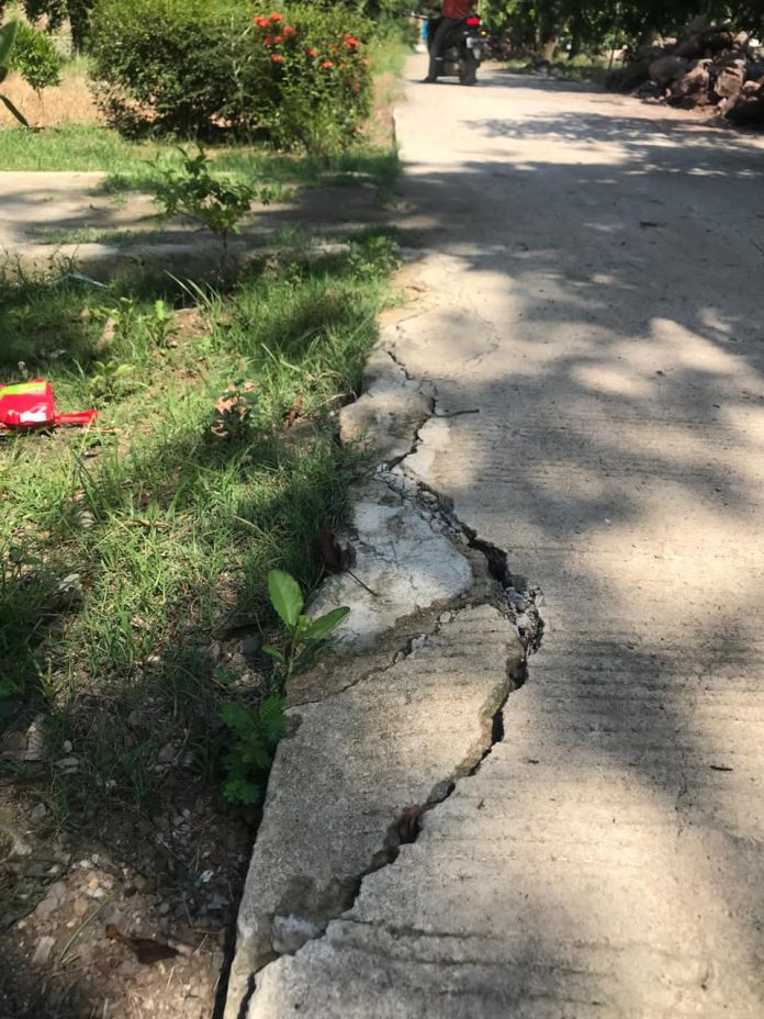 WhatsApp Image 2025-11-03 at 12.56.00