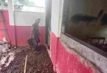 Bantuan Revitalisasi SD Di Indramayu Diduga Rawan Penyimpangan