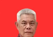 Polemik Desa Sukaslamet Ketika Panggung Demokrasi Disulap Jadi Konten