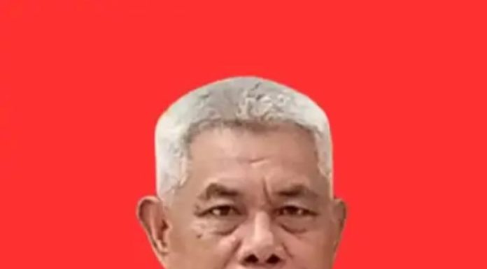 Polemik Desa Sukaslamet Ketika Panggung Demokrasi Disulap Jadi Konten