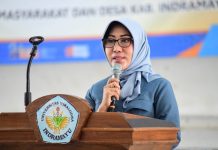 Ketua Tim Pembina Posyandu Kabupaten Indramayu Minta Kapasitas Kader Posyandu Ditingkatkan