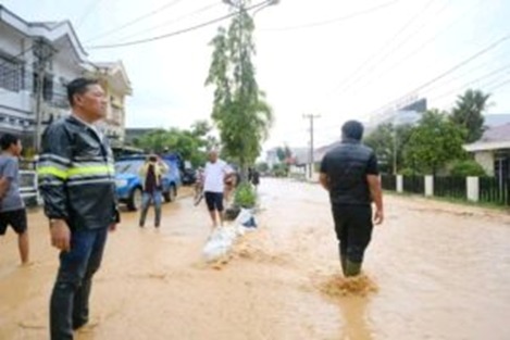 WhatsApp Image 2025-12-11 at 15.35.44