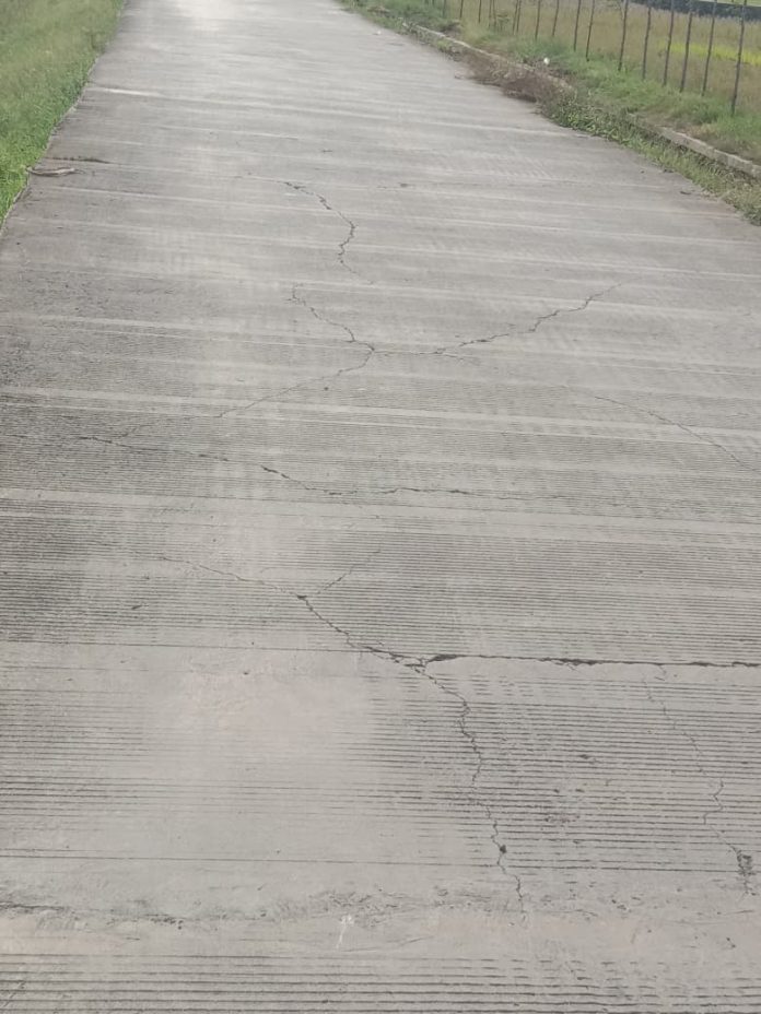 WhatsApp Image 2025-12-16 at 18.49.08