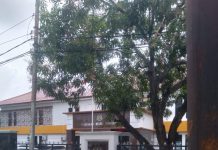 Direktur PKSPD Desak Tindak Lanjuti Dugaan Peyimpangan Perumdam Tirta Darma Ayu Ke Kejari Indramayu