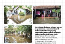 Lucky Hakim Tinjau Wilayah Lokasi Dampak Tergenang Banjir Di Indramayu