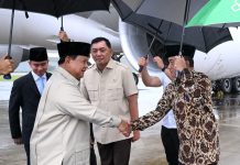 Presiden Prabowo Kembali Ke Tanah Air Perjuangkan Solusi Dua Negara Dan Lompatan Kerja Sama Ekonomi