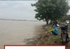 WASPADA SWASEMBADA PANGAN:Ratusan Hektar Sawah Musim Tanam Rendeng Terendam Banjir Di Indramayu
