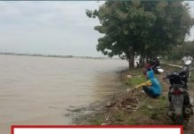 WASPADA SWASEMBADA PANGAN:Ratusan Hektar Sawah Musim Tanam Rendeng Terendam Banjir Di Indramayu