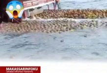 KAPAL MOTOR REZKI AQILA 03 MUATAN 4.480 TABUNG GAS ELPIJI ISI 3KG DAN 12 KG TENGGELAM DI PERAIRAN LEMO BONTO BAHARI