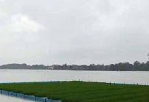 Perkiraan 10 Ribu Hektar Sawah Terancam Gagal Panen Dampak Hujan Deras Dan Banjir Di Indramayu Jawa Barat