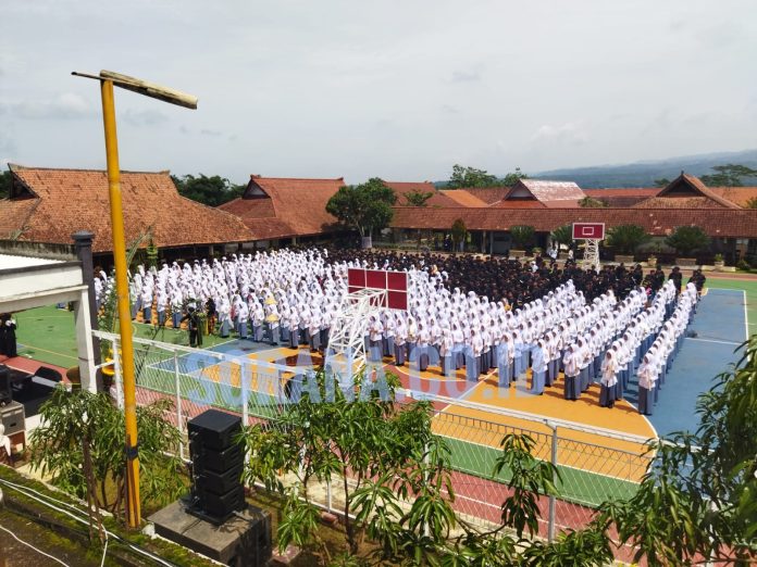 WhatsApp Image 2026-02-12 at 14.55.09