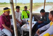 Penggarap Protes Luas 280 Hektar Lahan Petani Garam Kecamatan Losarang Indramayu Di Patok Oleh KKP Dan Kehutanan