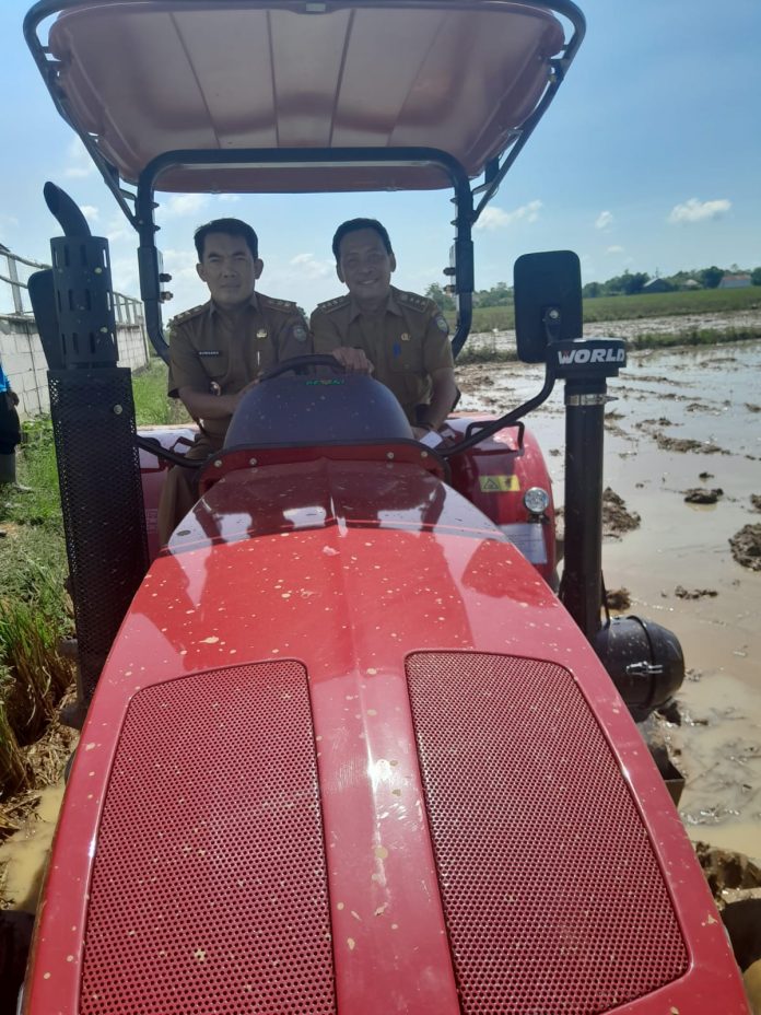 WhatsApp Image 2026-04-13 at 21.38.01 (1)