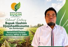 H Mulyadi : Kehadiran Hashim Djojohadikusumo Semangat Bagi Petani Kedelai Indramayu