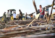 Petani Rasakan Dampak Pemerintah Penguatan Sektor Pertanian Produktivitas Meningkat Dan Pupuk Kian Mudah Diakses