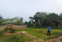 Mimpi Dari Bantaran Sungai Citangkurak: Sawah, Kandang Dan Agrowisata Dalam Satu Kawasan
