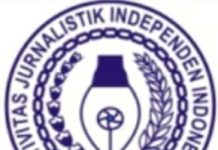 LOGO-AJII
